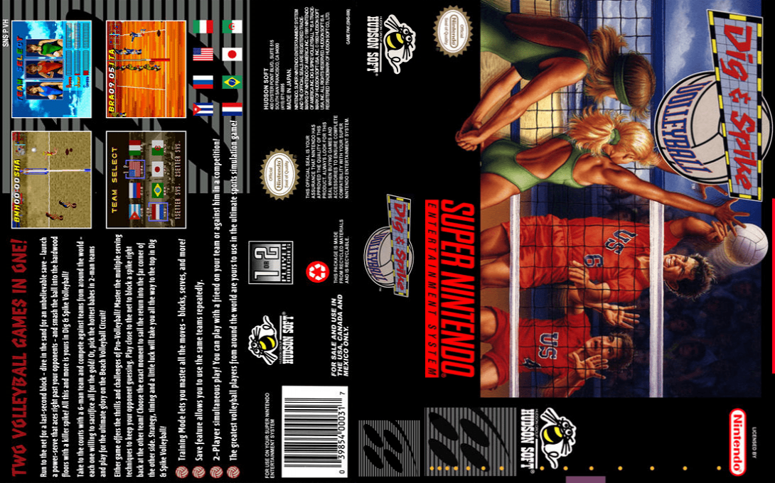 Dig & Spike Volleyball [US] snes 1993 Box Art