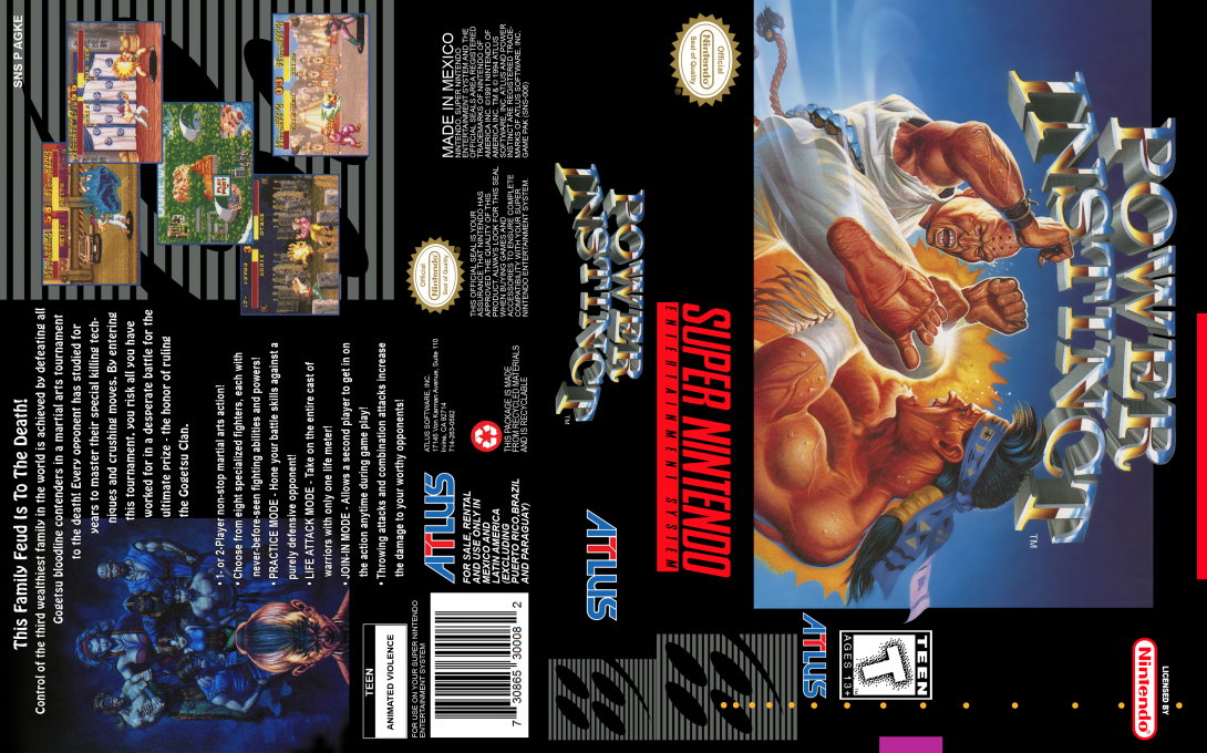 Power Instinct [US] snes 1994 Box Art