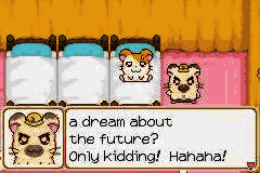 Hamtaro : Ham-Ham Heartbreak [US] gba 2003 Game Image