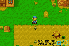 Harvest Moon : Friends of Mineral Town [US] gba 2003 Game Image