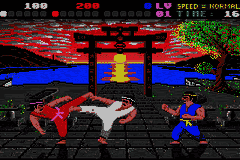 International Karate Plus [US] gba 2003 Game Image