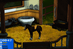 Let’s Ride! : Friends Forever [US] gba 2007 Game Image