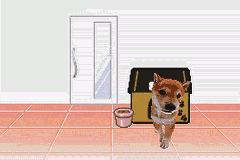 Pocket Dogs [US] gba 2005 Game Image