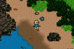 Rugrats : Go Wild [US,EU] gba 2003 Game Image