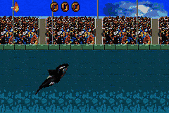 Shamu’s Deep Sea Adventures [US] gba 2005 Game Image