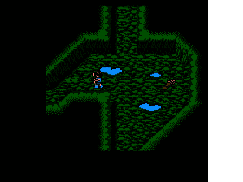 Dragon Buster II : Yami no Fuuin [US,EU] nes 1989 Game Image
