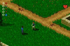 The Bible Game [US] gba 2005 Game Image