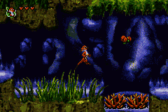 The Lion King 1 1/2 [US] gba 2003 Game Image