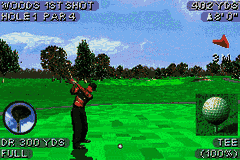 Tiger Woods PGA Tour 2004 [US,EU] gba 2003 Game Image