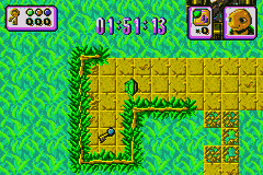 Turbo Turtle Adventure [US] gba 2002 Game Image