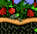 Donkey Kong 2001 [US,EU] gbc 2000 Game Image