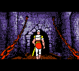 Dragon’s Lair [US,EU] gbc 2001 Game Image