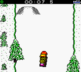 Extreme Sports with the Berenstain Bears [US,EU] gbc 2000 Game Image