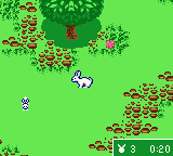 Kelly Club : Clubhouse Fun [US] gbc 2001 Game Image