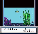 Legend of the River King GBC [US] gbc 1999 Game Image