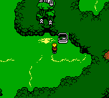 Magi Nation [US] gbc 2001 Game Image