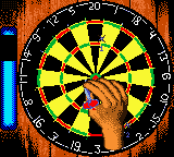 Pro Darts [US] gbc 2002 Game Image