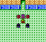 Revelations : The Demon Slayer [US] gbc 1999 Game Image