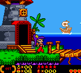 Shantae [US] gbc 2002 Game Image