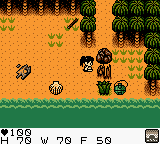 Survival Kids [US] gbc 1999 Game Image