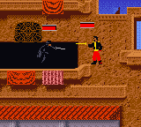 The Mask of Zorro [US] gbc 2000 Game Image
