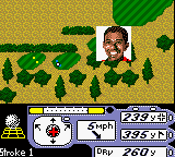 Tiger Woods PGA Tour 2000 [US,EU] gbc 2000 Game Image