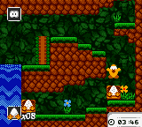 Toki Tori [US,EU] gbc 2001 Game Image