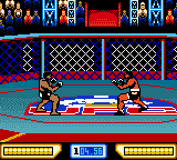 Ultimate Fighting Championship [US] gbc 2000 Game Image
