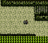Warriors of Might and Magic [US] gbc 2000 Game Image