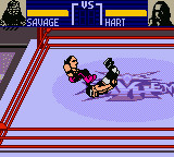 WCW Mayhem [US,EU] gbc 2000 Game Image