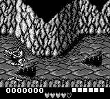 Battletoads in Ragnarok’s World [US] gb 1993 Game Image