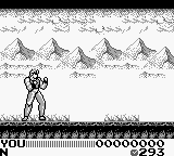 Fighting Simulator – 2 in 1 Flying Warriors [US,EU] gb 1992 Game Image