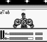 Heavyweight Championship Boxing [US] gb 1990 Game Image