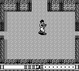 Ikari no Yousai [US,EU] gb 1991 Game Image
