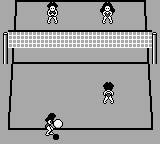 Malibu Beach Volleyball [US] gb 1990 Game Image