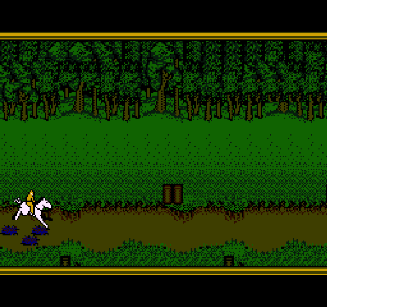 Hillsfar [US] nes 1993 Game Image