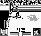 Ring Rage [US] gb 1993 Game Image