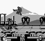 Shaq Fu [US] gb 1995 Game Image