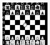 The New Chessmaster [US,EU] gb 1993 Game Image