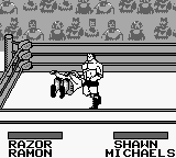 WWF King of the Ring [US,EU] gb 1993 Game Image