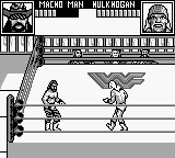 WWF Superstars 2 [US,EU] gb 1993 Game Image