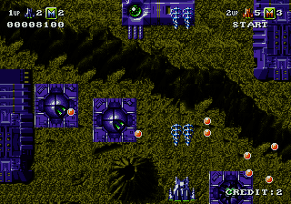 Battle Squadron [US,EU] segaMD 1990 Game Image