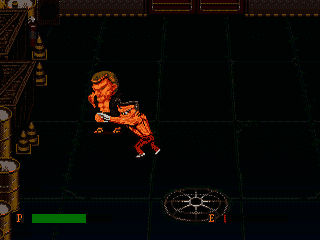 Ka-Ge-Ki : Fists of Steel [US] segaMD 1991 Game Image