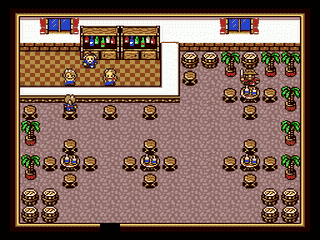 New Horizons [US] segaMD 1994 Game Image