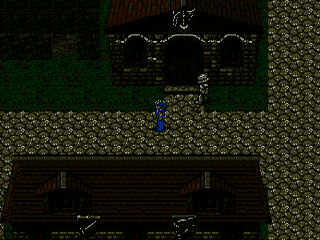 Sorcerer’s Kingdom [US] segaMD 1993 Game Image