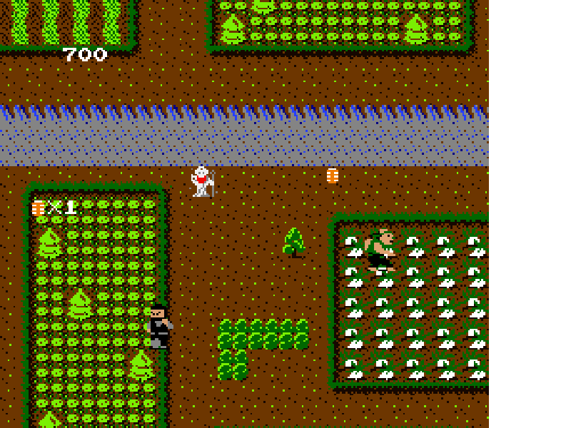 Ikki (Japan) [JP] nes 1985 Game Image