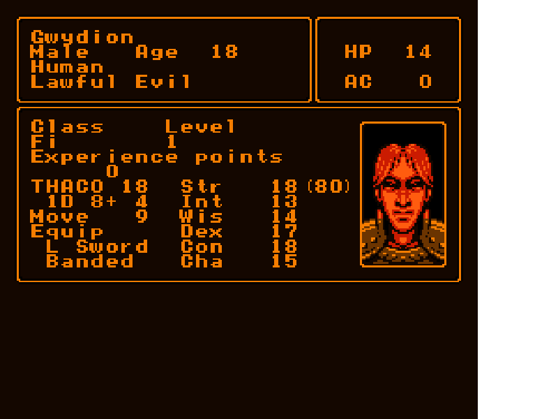 Pool of Radiance [US] nes 1992 Game Image