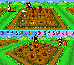 Oraga Land Shusai – Best Farmer Shuukakusai (Japan) [JP] snes 1995 Game Image
