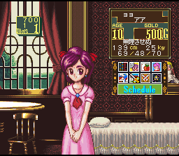 Princess Maker – Legend of Another World (Japan) [JP] snes 1995 Game Image