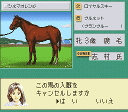 Stable Star – Kyuusha Monogatari (Japan) [JP] snes 1996 Game Image